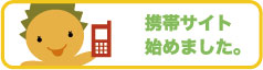 携帯サイト